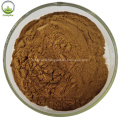 Herbal Extract Ashwagandha Root Powder